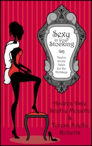 Book Cover: Sexy in Your Stocking